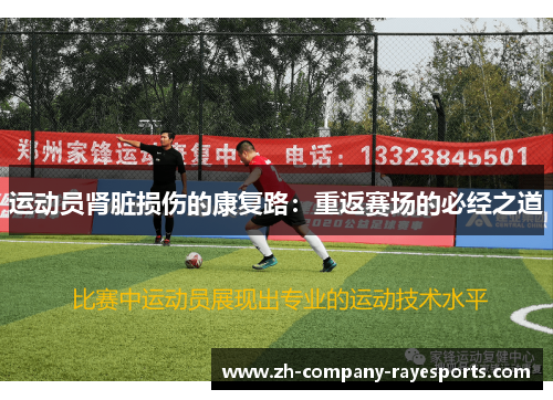 运动员肾脏损伤的康复路：重返赛场的必经之道