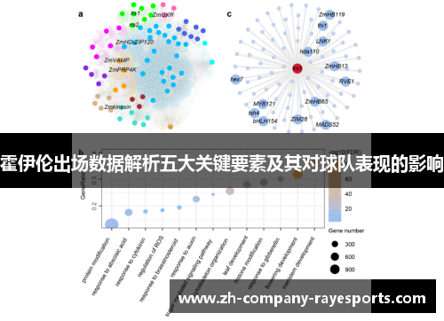 霍伊伦出场数据解析五大关键要素及其对球队表现的影响