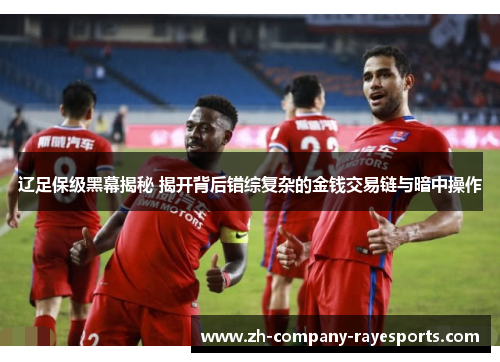 辽足保级黑幕揭秘 揭开背后错综复杂的金钱交易链与暗中操作
