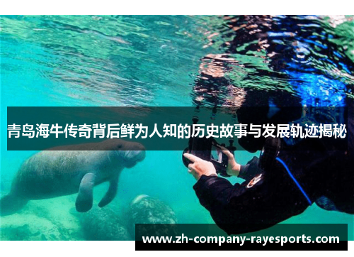 青岛海牛传奇背后鲜为人知的历史故事与发展轨迹揭秘